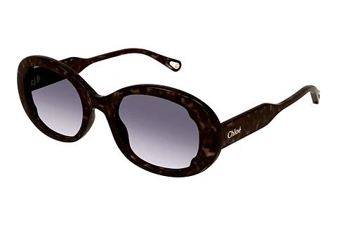 Zonnebril Chloé CH0197SA 002