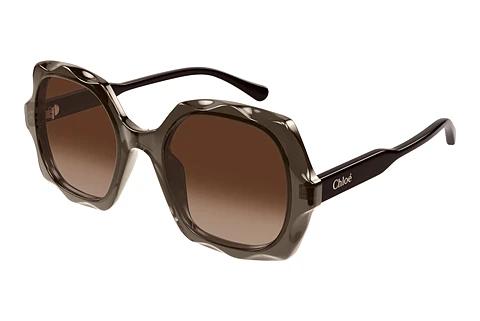 Zonnebril Chloé CH0226S 007