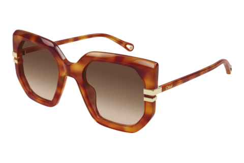 Zonnebril Chloé CH0240S 007