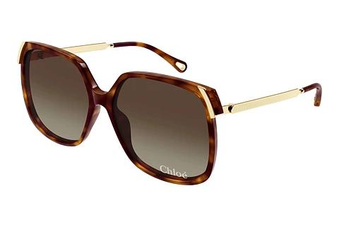 Zonnebril Chloé CH0286S 002