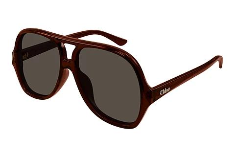 Zonnebril Chloé CH0289S 002