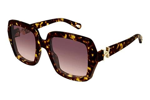 Zonnebril Chloé CH0301S 002