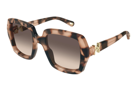 Zonnebril Chloé CH0301S 006