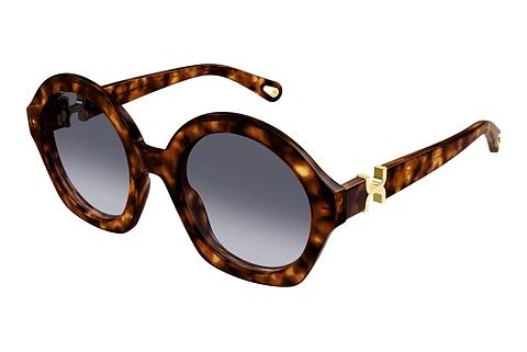 Zonnebril Chloé CH0302S 002