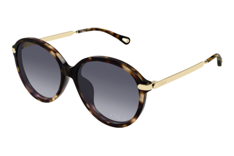 Zonnebril Chloé CH0358SK 002