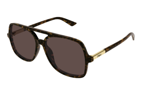 Zonnebril Chloé CH0364S 002