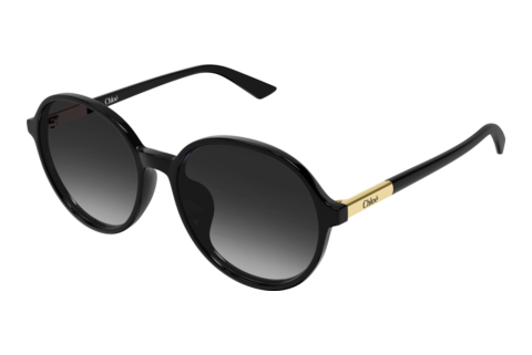 Zonnebril Chloé CH0365SK 001