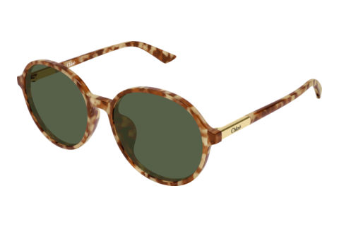 Zonnebril Chloé CH0365SK 004