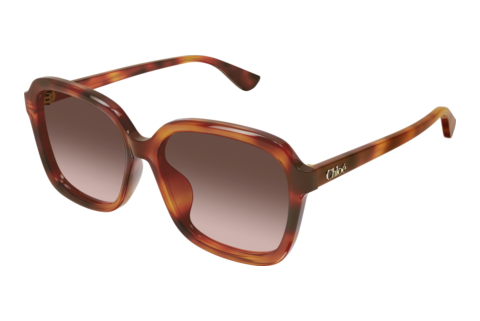 Zonnebril Chloé CH0390SK 002