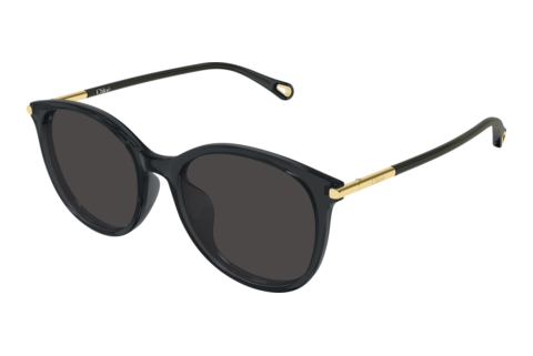 Zonnebril Chloé CH0397SK 001