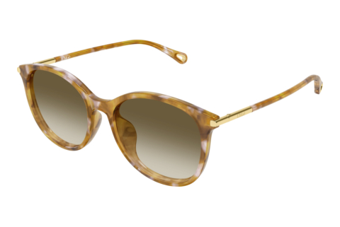 Zonnebril Chloé CH0397SK 003