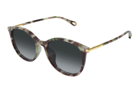 Zonnebril Chloé CH0397SK 004