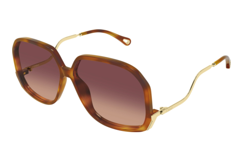 Zonnebril Chloé CH0404S 001