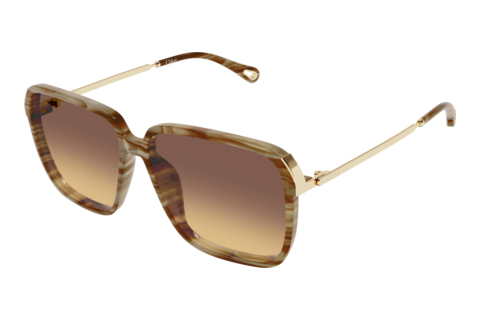 Zonnebril Chloé CH0405S 004