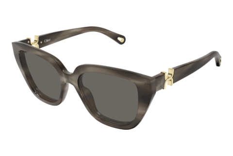 Zonnebril Chloé CH0410S 002