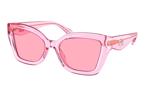 Zonnebril Coach CS544 (HC8405U 583084)