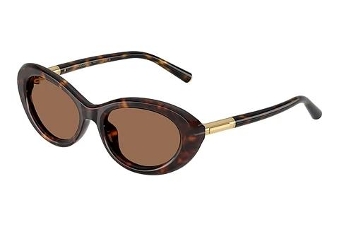 Zonnebril Dolce & Gabbana DG4519 502/73