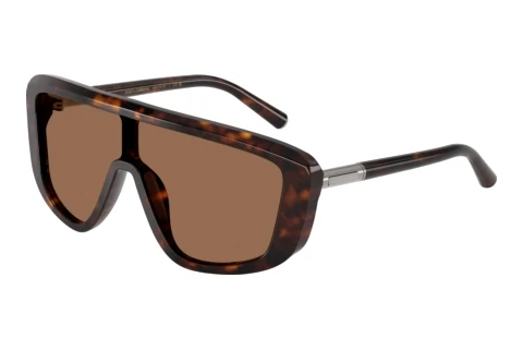Zonnebril Dolce & Gabbana DG4520 502/73
