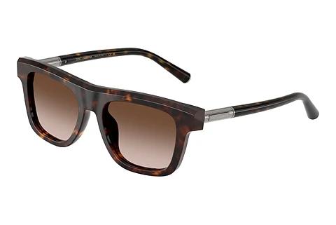 Zonnebril Dolce & Gabbana DG4521 502/13