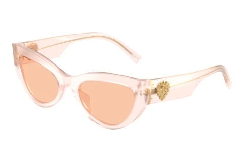 Zonnebril Dolce & Gabbana DG4536 304173