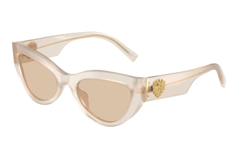 Zonnebril Dolce & Gabbana DG4536 342093
