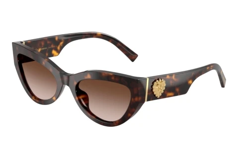 Zonnebril Dolce & Gabbana DG4536 502/13