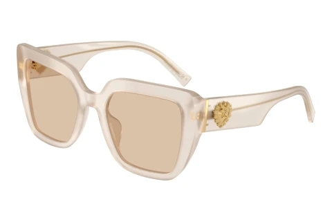 Zonnebril Dolce & Gabbana DG4538 342093