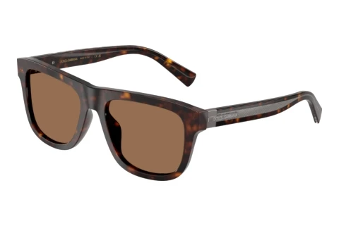 Zonnebril Dolce & Gabbana DG4545 502/73