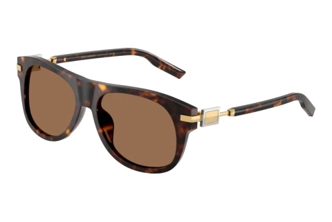 Zonnebril Dolce & Gabbana DG4546 502/73