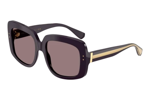 Zonnebril Dolce & Gabbana DG4557 35017N