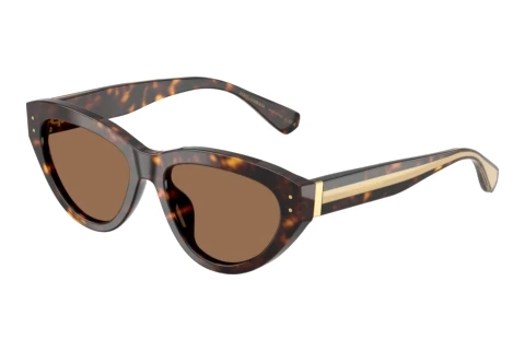 Zonnebril Dolce & Gabbana DG4558 502/73