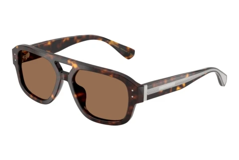 Zonnebril Dolce & Gabbana DG4561 502/73