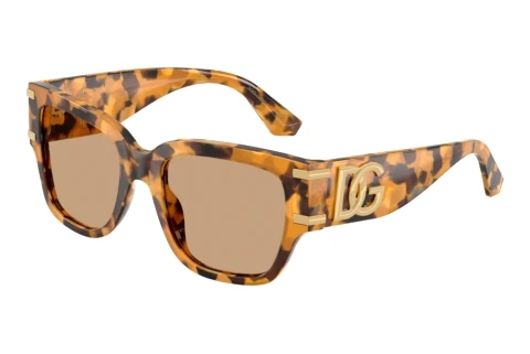 Zonnebril Dolce & Gabbana DG4563 349663