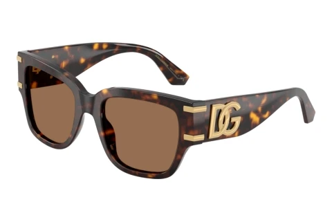 Zonnebril Dolce & Gabbana DG4563 502/73