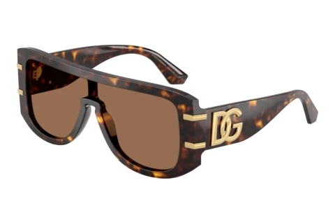 Zonnebril Dolce & Gabbana DG4565 502/73