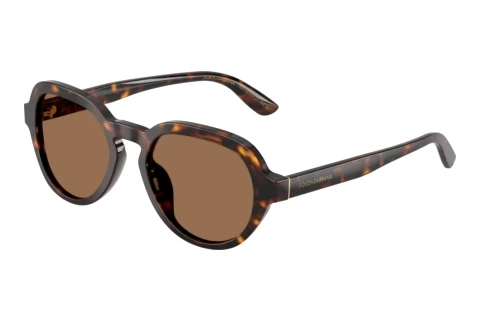 Zonnebril Dolce & Gabbana DG4567 502/73