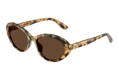 Zonnebril Dolce & Gabbana DG4570 512/73