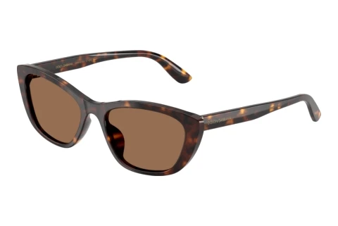 Zonnebril Dolce & Gabbana DG4571 502/73