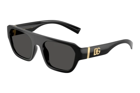 Zonnebril Dolce & Gabbana DG6206 501/87