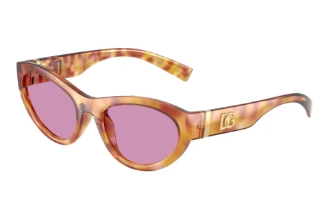 Zonnebril Dolce & Gabbana DG6207 34771A