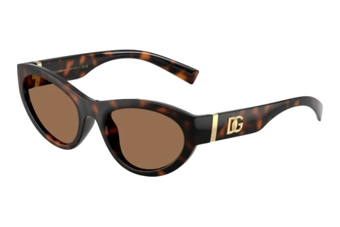 Zonnebril Dolce & Gabbana DG6207 502/73