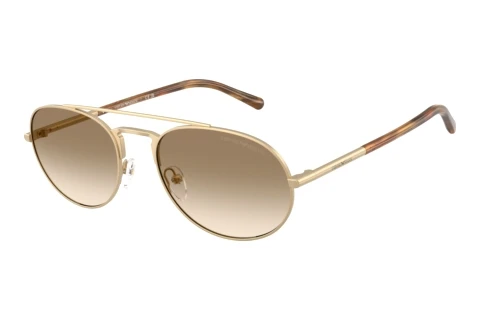 Zonnebril Emporio Armani EA2171 300213