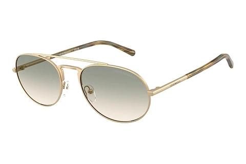 Zonnebril Emporio Armani EA2171 30022C