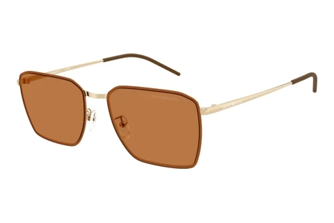 Zonnebril Emporio Armani EA2172D 301373