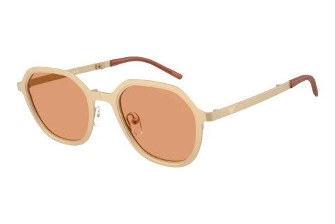Zonnebril Emporio Armani EA2176 3002/7