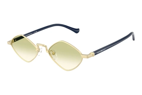 Zonnebril Emporio Armani EA2182 30028E