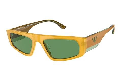 Zonnebril Emporio Armani EA4168 5908/2