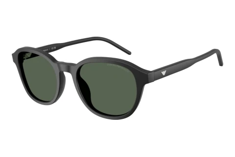Zonnebril Emporio Armani EA4247U 500171