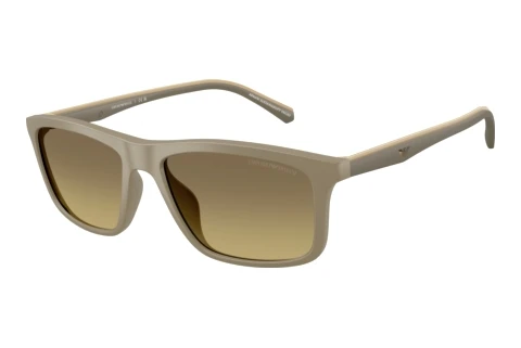 Zonnebril Emporio Armani EA4257U 5437G9