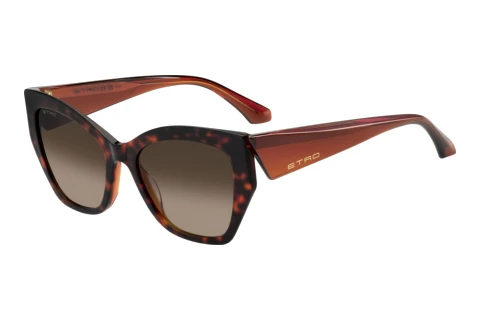 Zonnebril Etro ETRO 0143/S L9G/HA